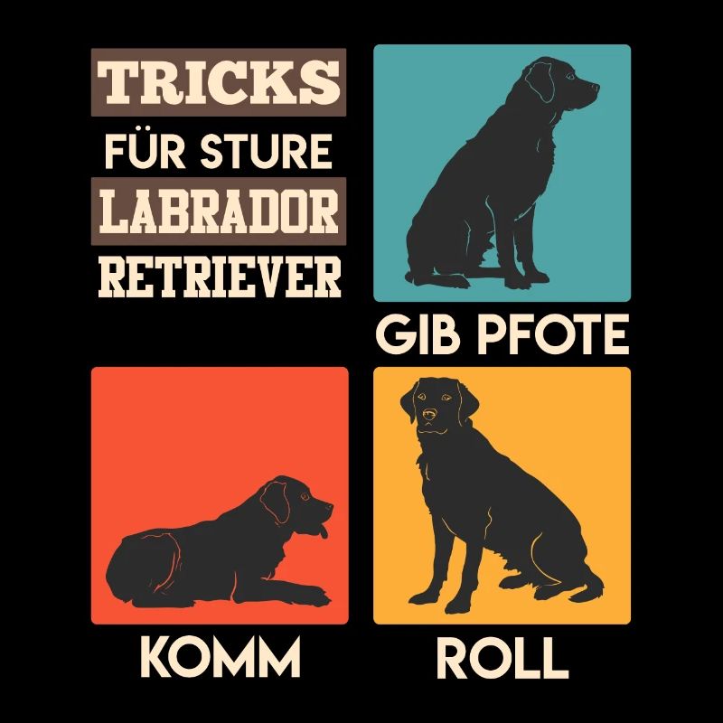 Labrador Owner TRICKS FOR STURDY LABRADOR