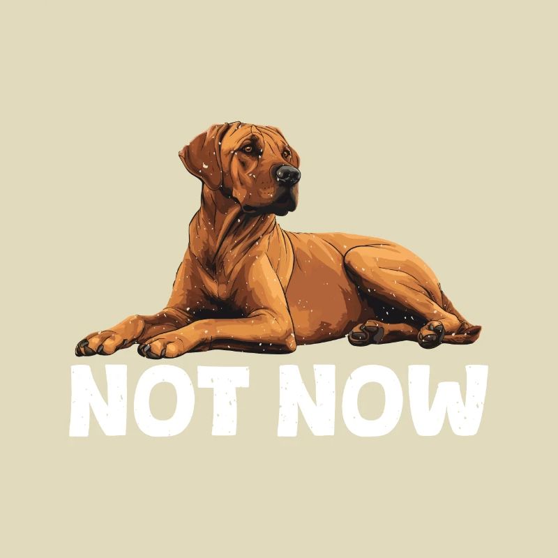 Rhodesian Ridgeback NOT NOW Hundebesitzer