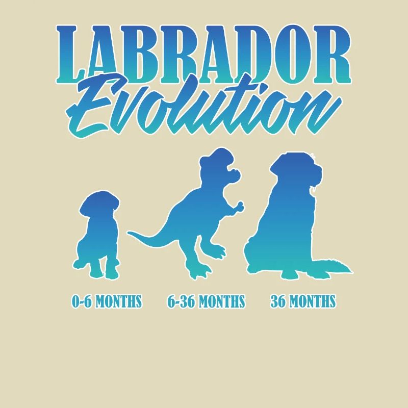 LABRADOR EVOLUTION Labrador Propriétaire Drôle