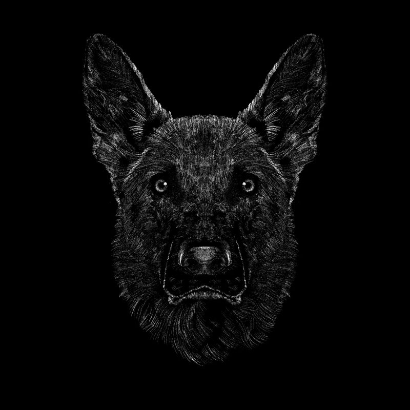 Deutscher Schäferhund