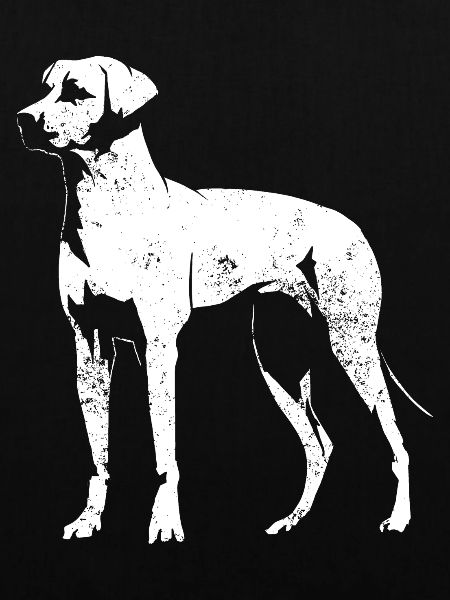 Rhodesian Ridgeback