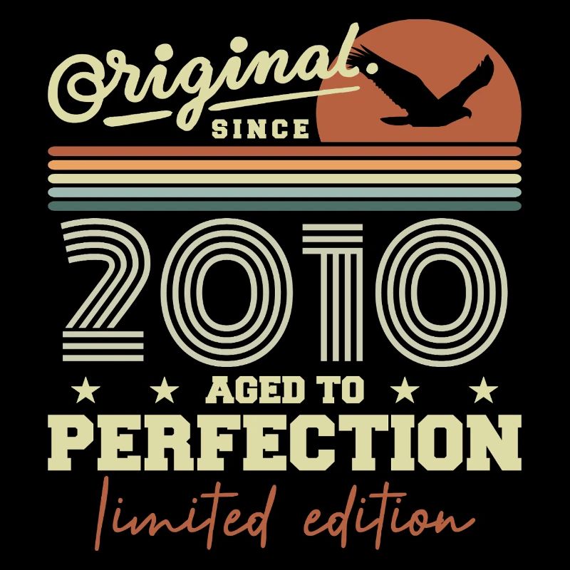 Original 2010 Retro 2010 Birthday Gift 2010