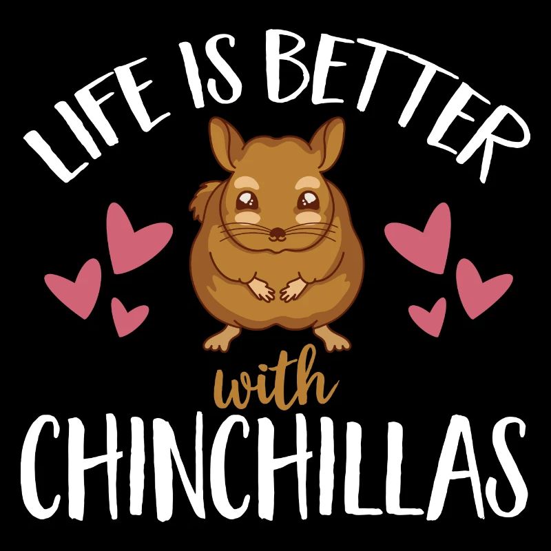 Chinchilla