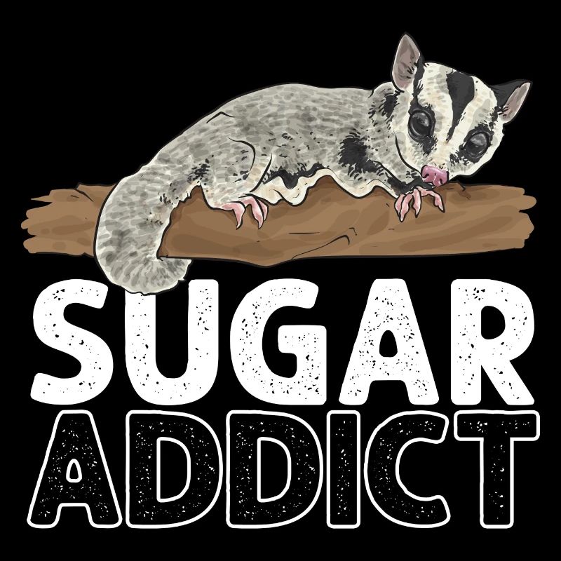 Kurzkopfgleitbeutler Sugar Glider
