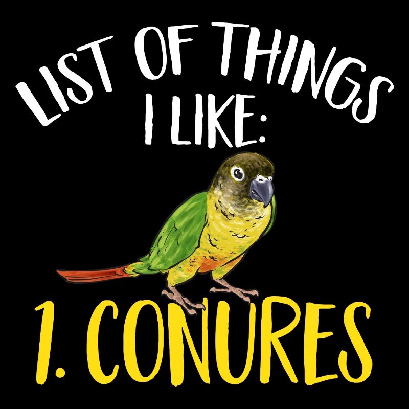 Molina Parakeet Parrot Bird Parakeet