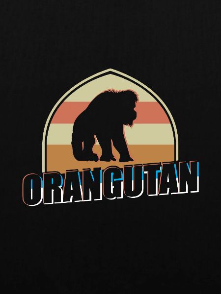 Orang-Utan Menschenaffe