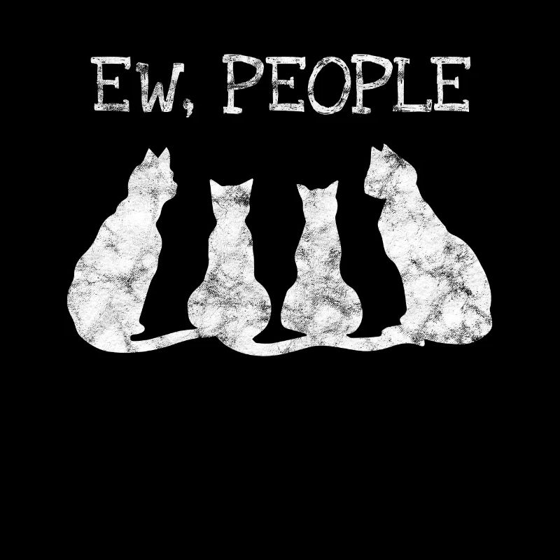 Chat chat minou cadeau