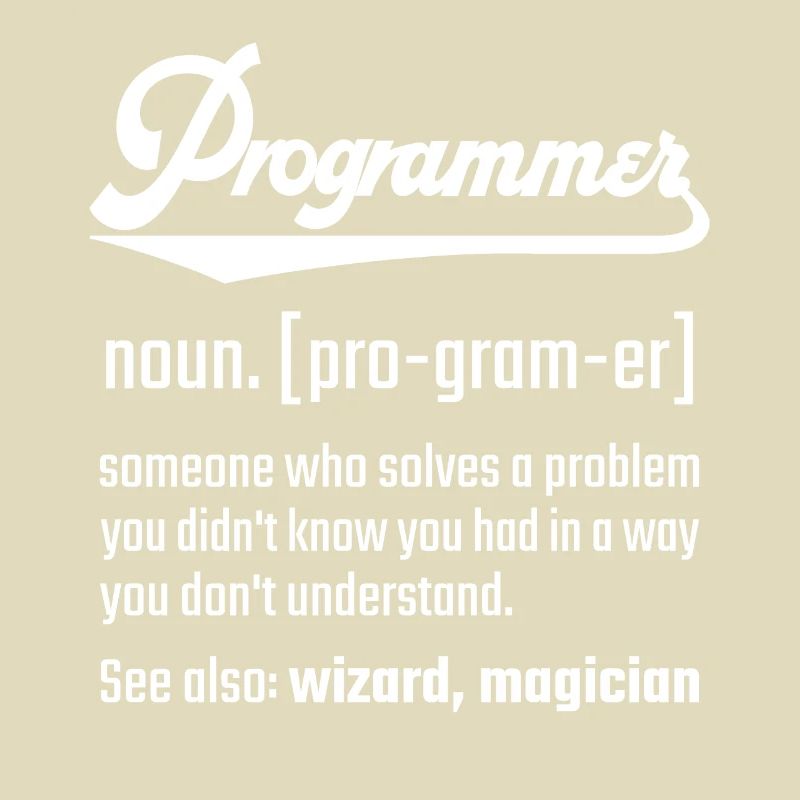 Programmer programmer noun noun definition