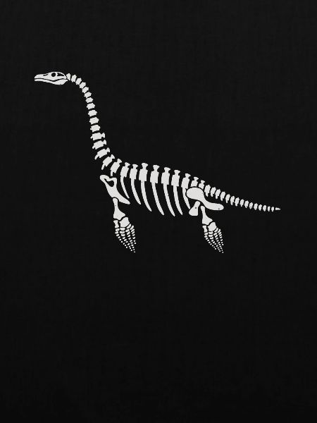 Plesiosaurus Plaeontology Paleontologist Fossil