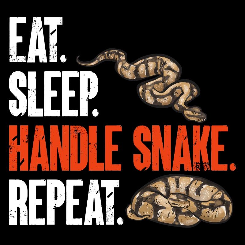 Ball Python Snake King Python