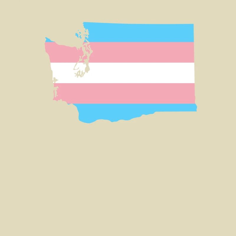 Trans Flag Washington LGBT Pride Support