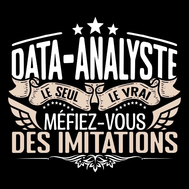 Data Analyste le seul Data Analyste le vrai Data A