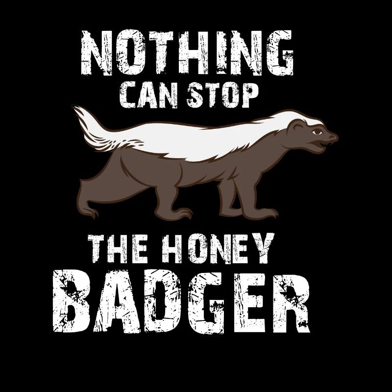 Nothing Can Stop The badger,, badger, badger Apparel, badger Gift
