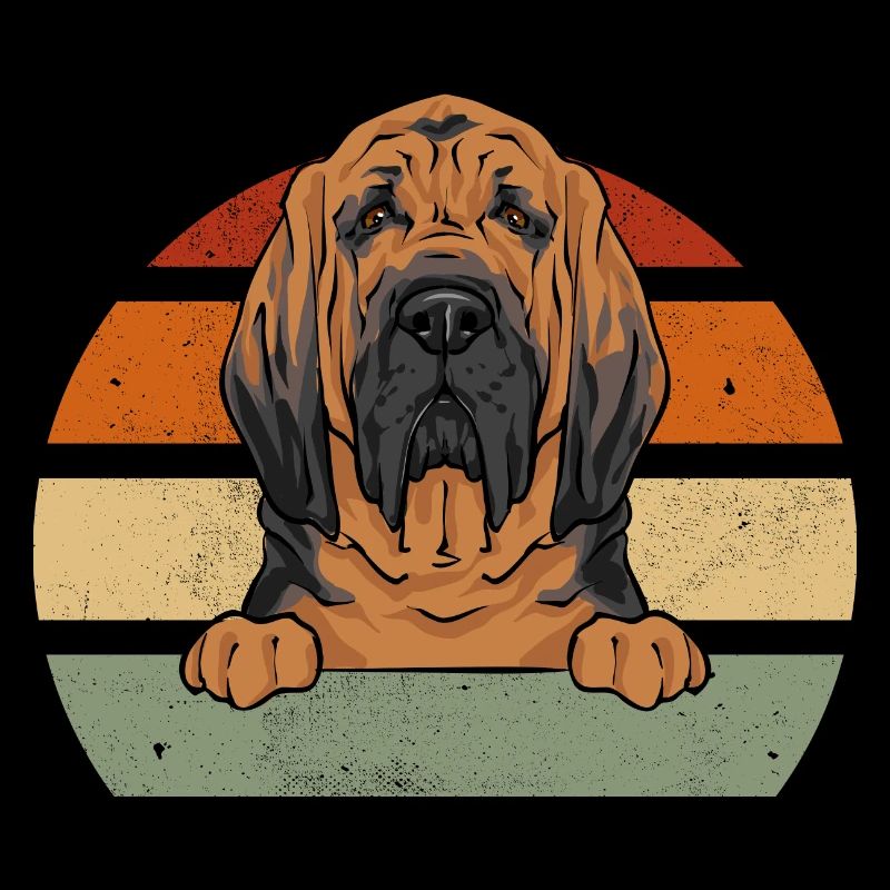 Limier Chien Limier