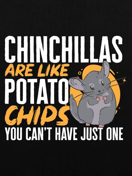 Chinchilla