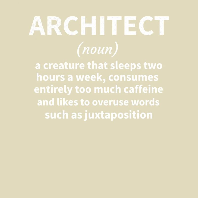 Architecture Gift Architecture Student Architect