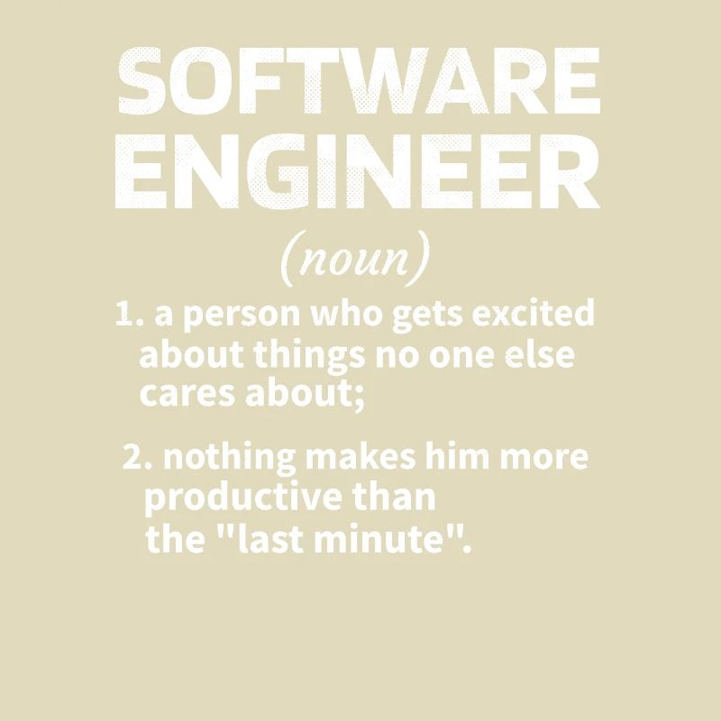 Softwareingenieur Software Engineer Techniker