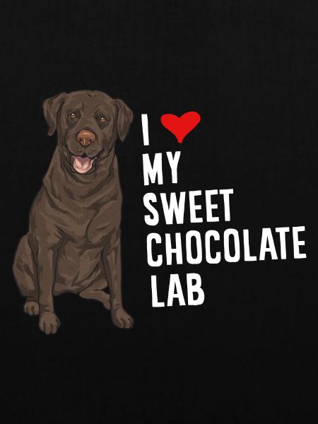 Chocolate Labrador Retriever Hund