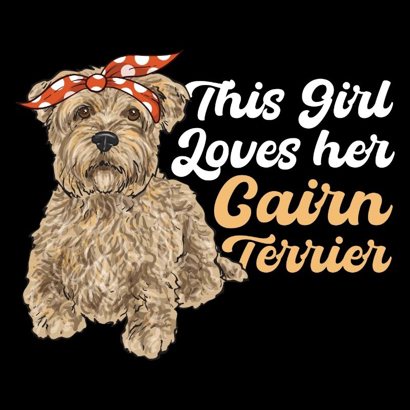 Cairn Terrier Chien