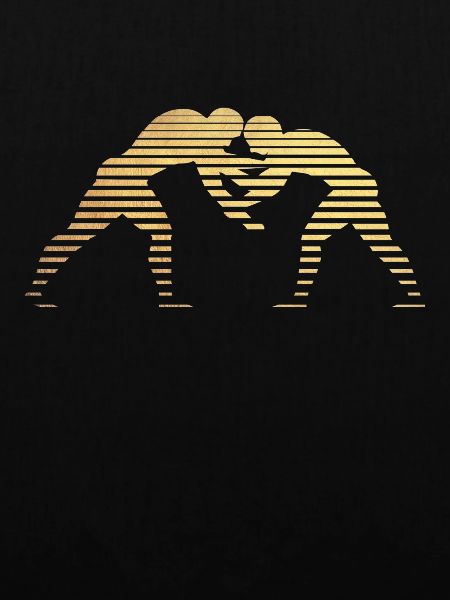 wrestling
