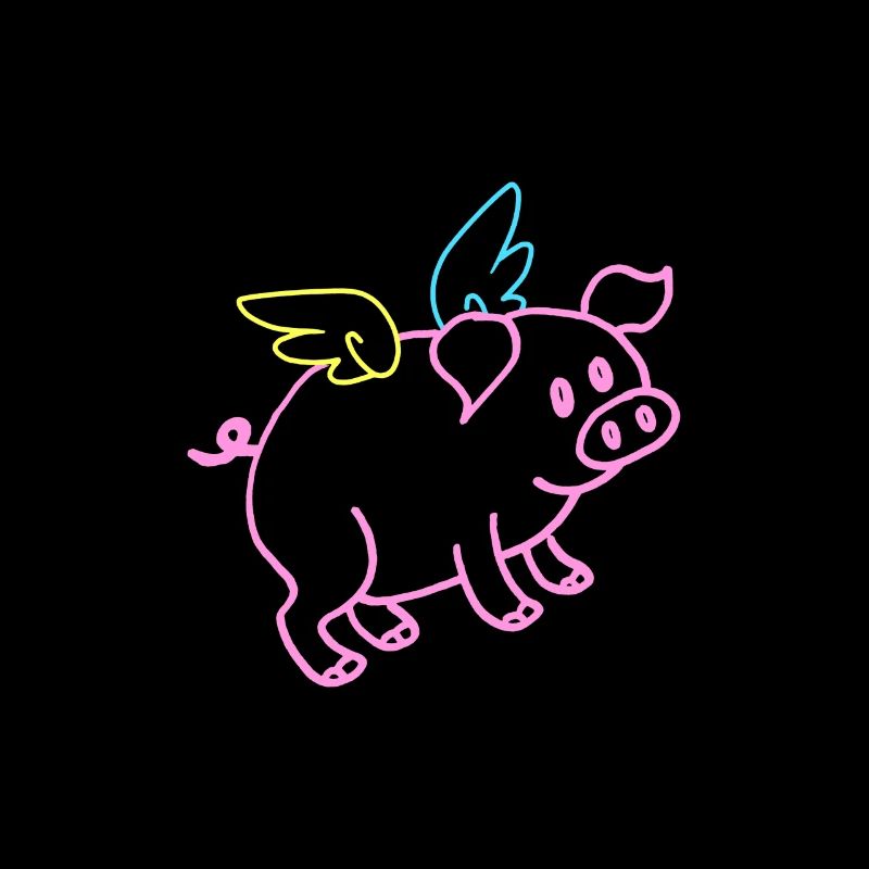 Flying Pig Tshirt Funny Gift
