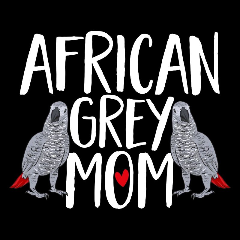 Graupapagei African Grey Parrot Papagei