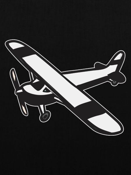 Modèle d’avion télécommandé