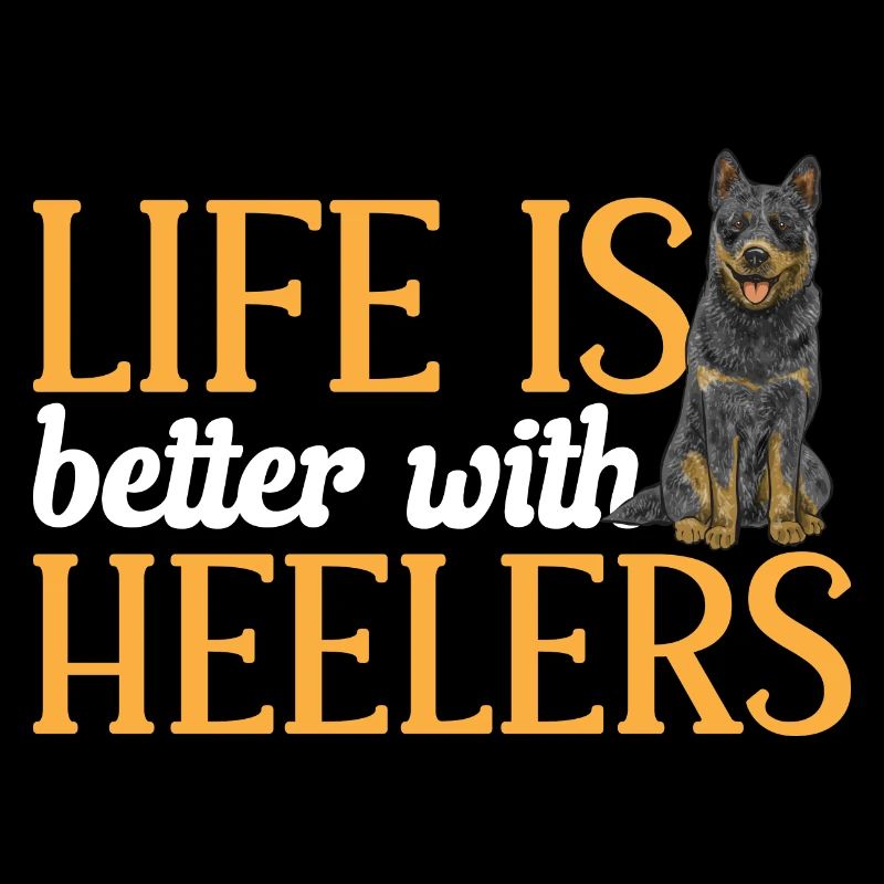 Bouvier australien Red Blue Heeler