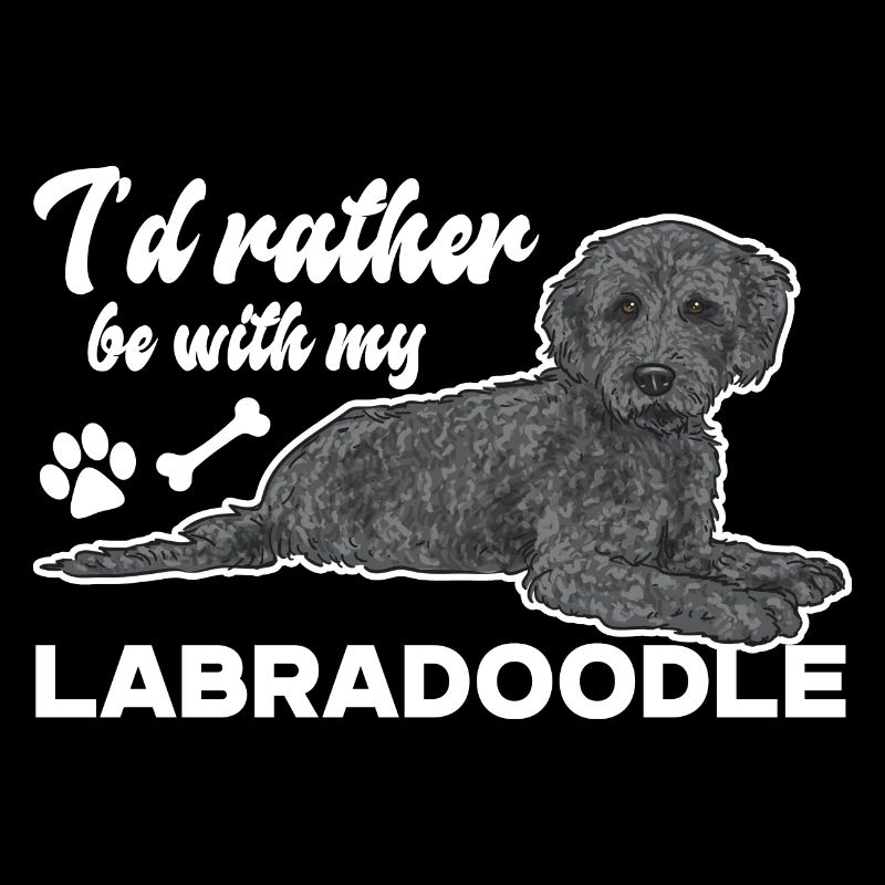 Labradoodle Hund