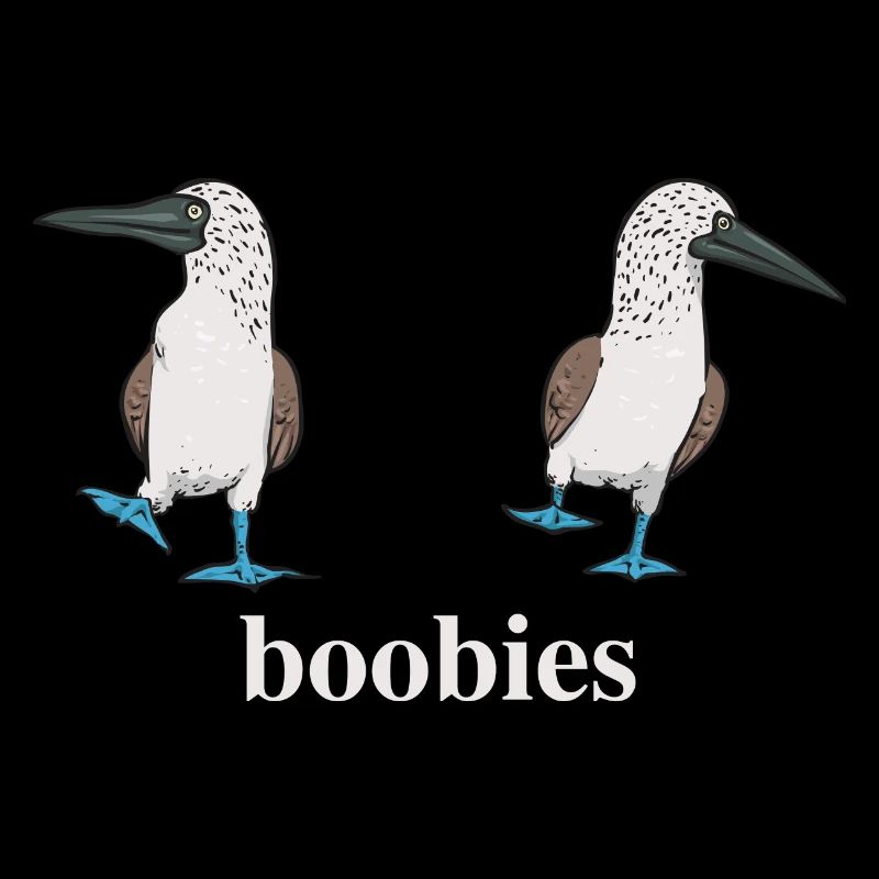Blue-footed Booby Seabird Blue-footed Booby Seabird