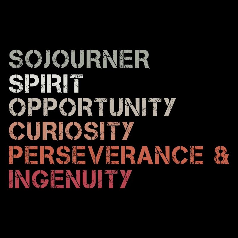Spirit Curiosity Perseverance Ingenuity