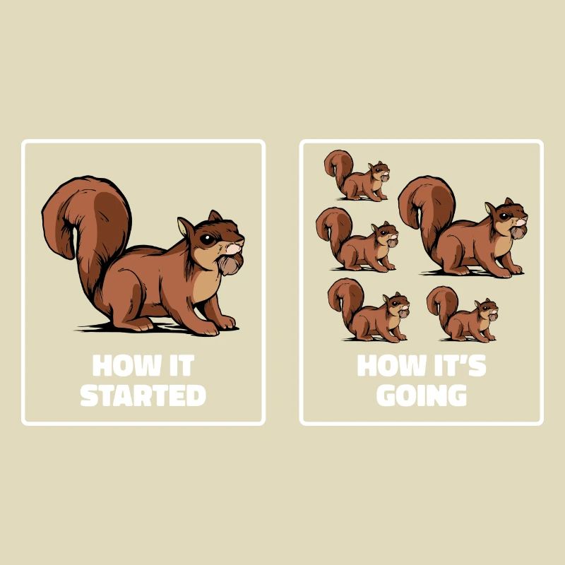 Squirrel Funny How It Started How It's Going Fores