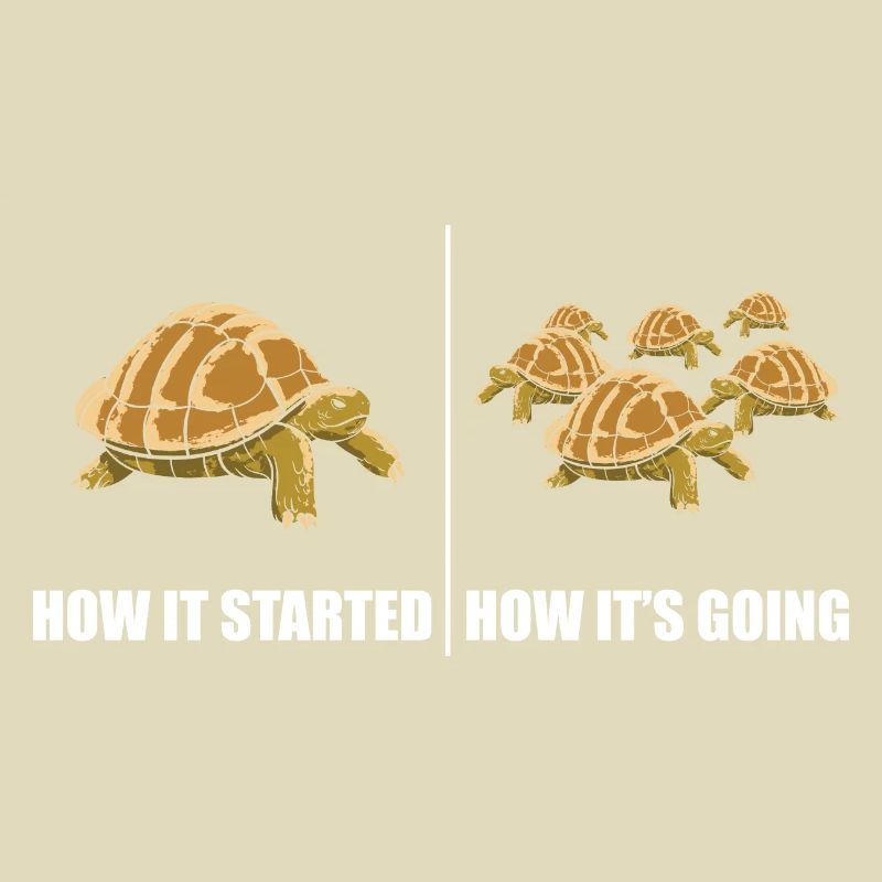 Funny How It Started How It's Going Turtle Reptile