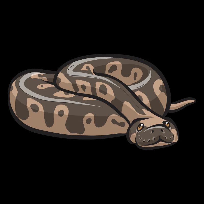 Ball Python Schlange Königspython