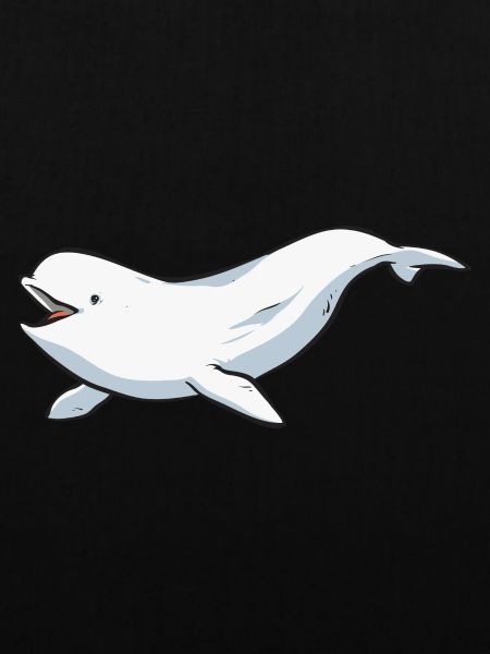 Weißwal Beluga Wal