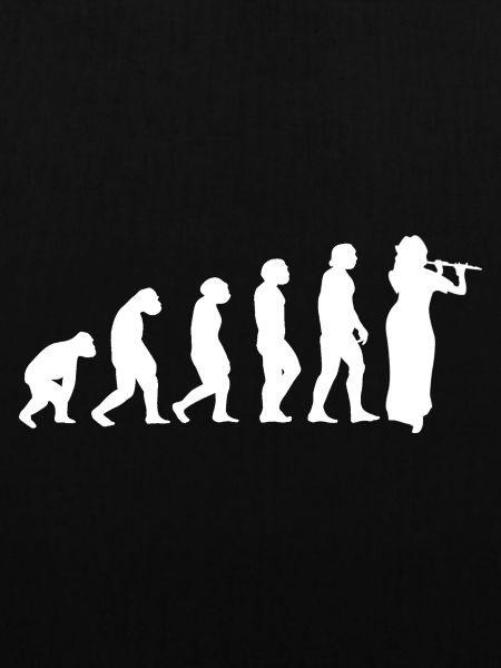 Clarinet Evolution
