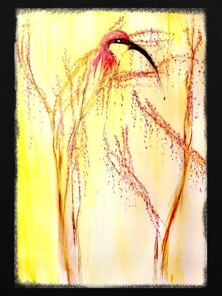 Bienenfresser