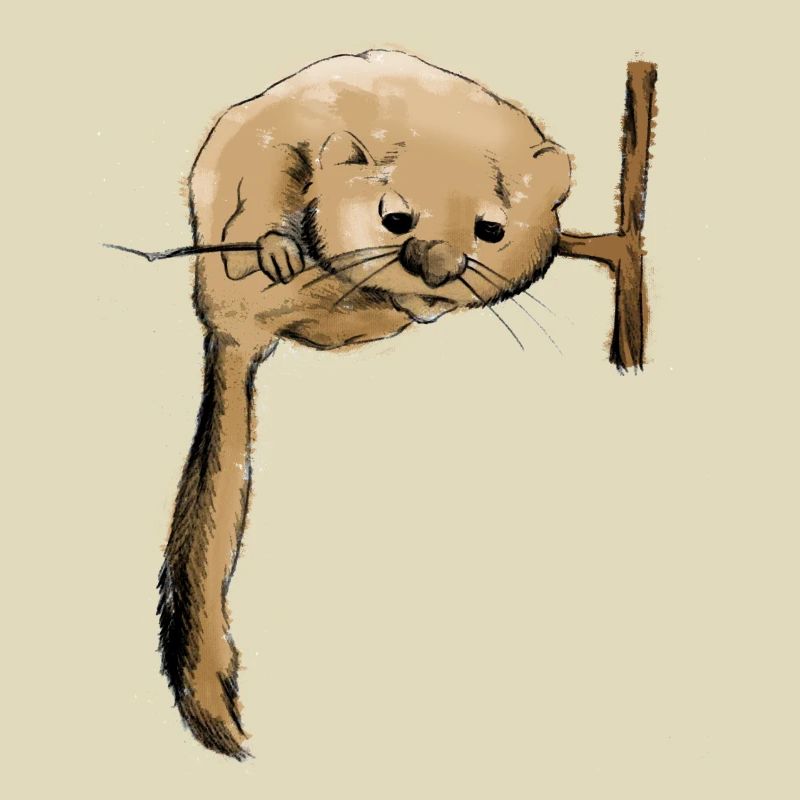 Siebenschläfer