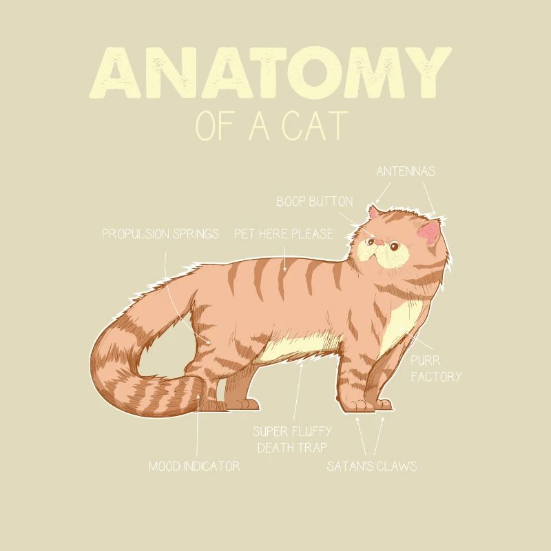 Anatomie de chat d'un chat - cadeaux de chat drôle