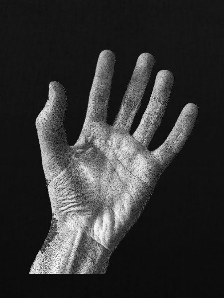 Schwarz-weiße Handfläche