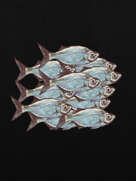 Fischschwarm