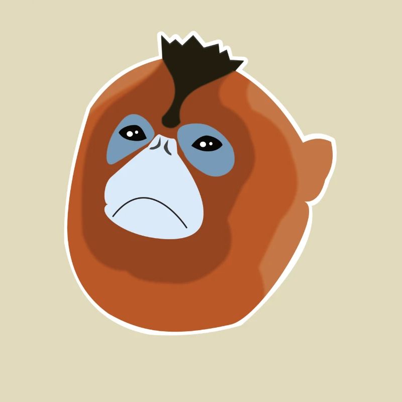 Stump-nosed monkey monkey monkey species