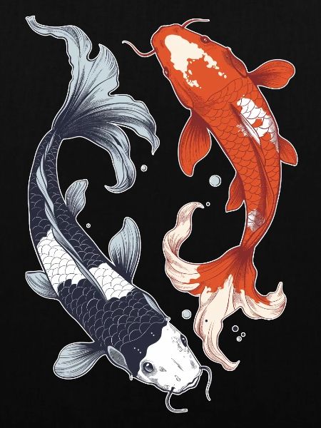 Koi Karpfen