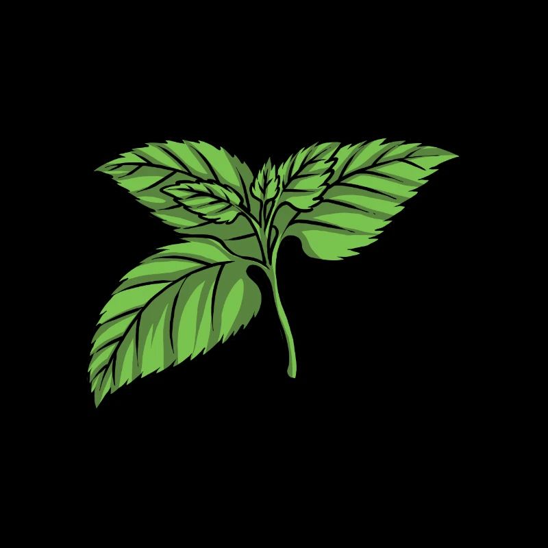 Mint Mint leaf
