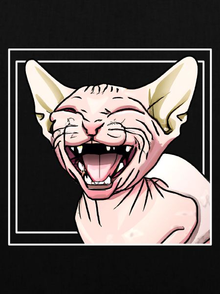 Sphynx Cat
