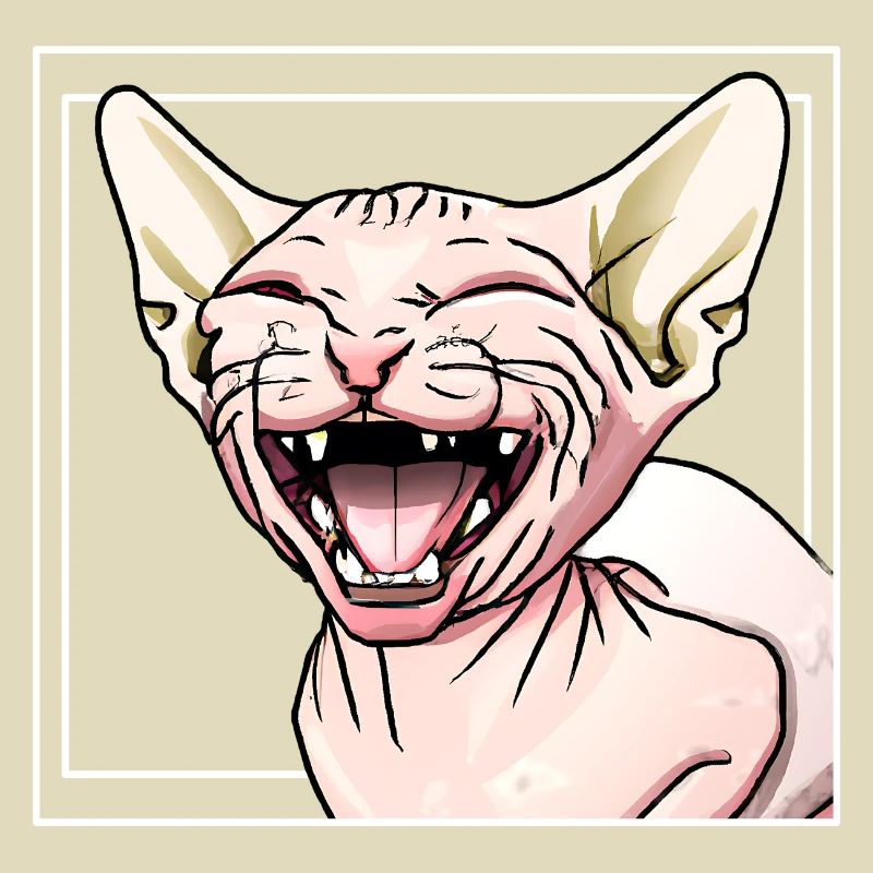 Sphynx Katze