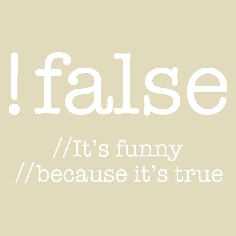 False Programming Coding Programmers Gift