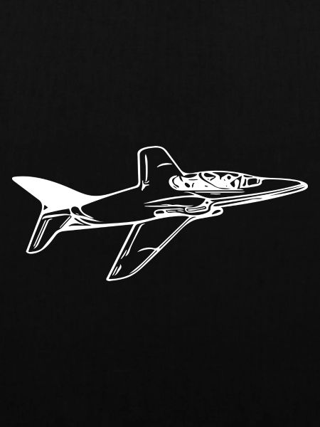 Jet Flugzeug Flieger
