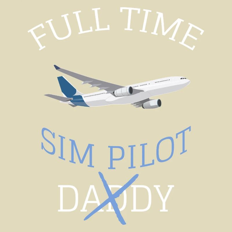 Flight Simulator Simmer Simulation MSFS Gift