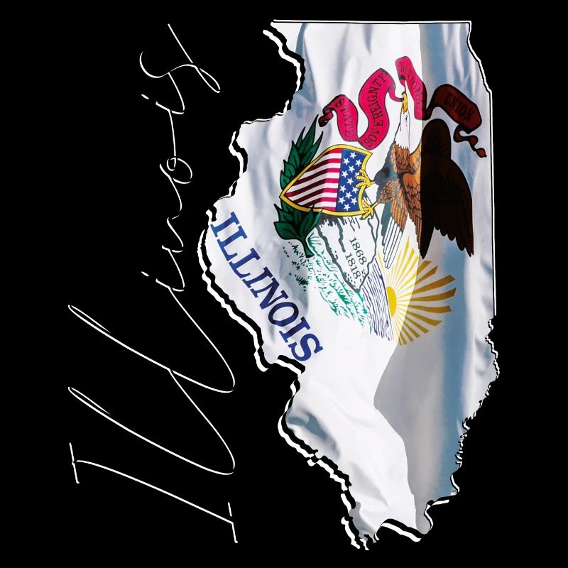 Illinois (United States) | Real Flag | Flag Map Script